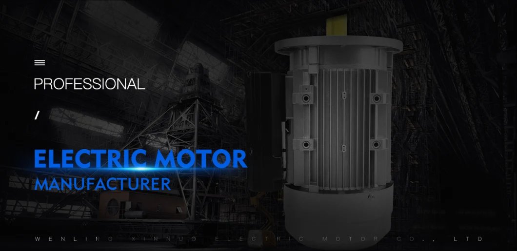 Ie2 Ys (AO2) Series Three-Phase Induction Motor