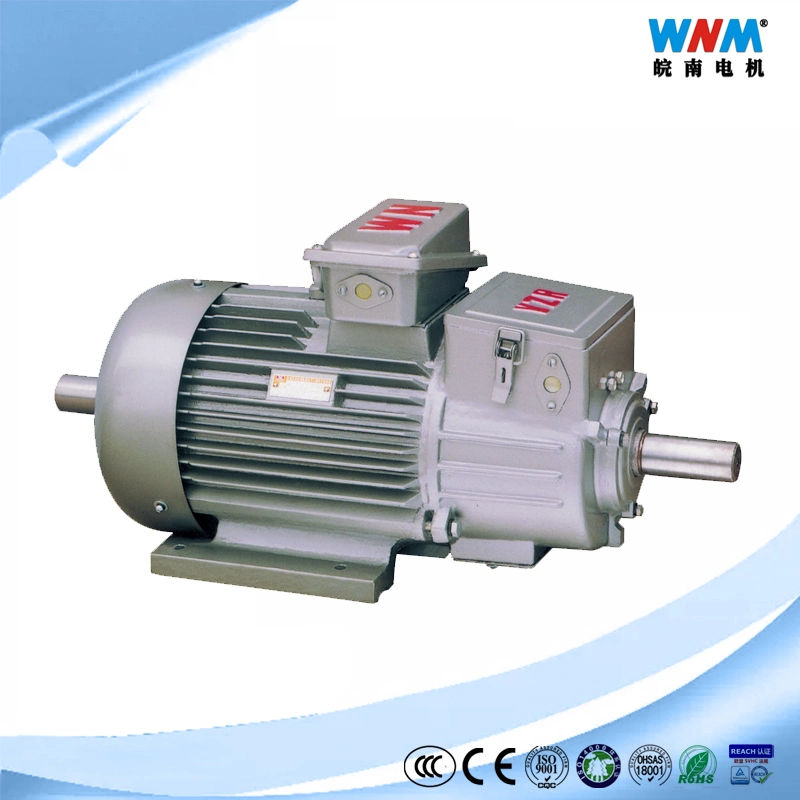 Yz Series IEC Standard Yzr/Yz Series AC Induction Electric Motor for Cranes and Metallurgical