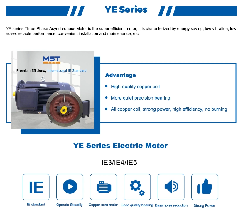 Low Voltage Ye3 Series High-Efficiency Electric/Electrical AC Motor for Power Station